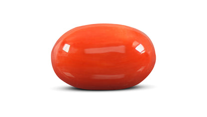 Natural Italian Red Coral (Moonga) 9.23 Carats