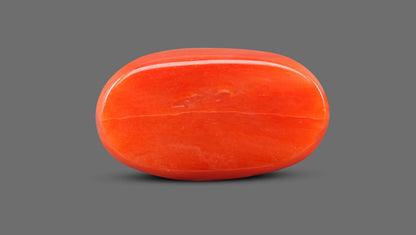 Natural Italian Red Coral (Moonga) 9.32 Carats