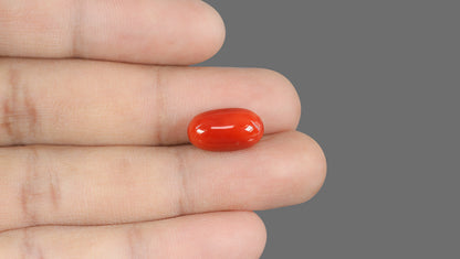 Natural Italian Red Coral (Moonga) 9.32 Carats
