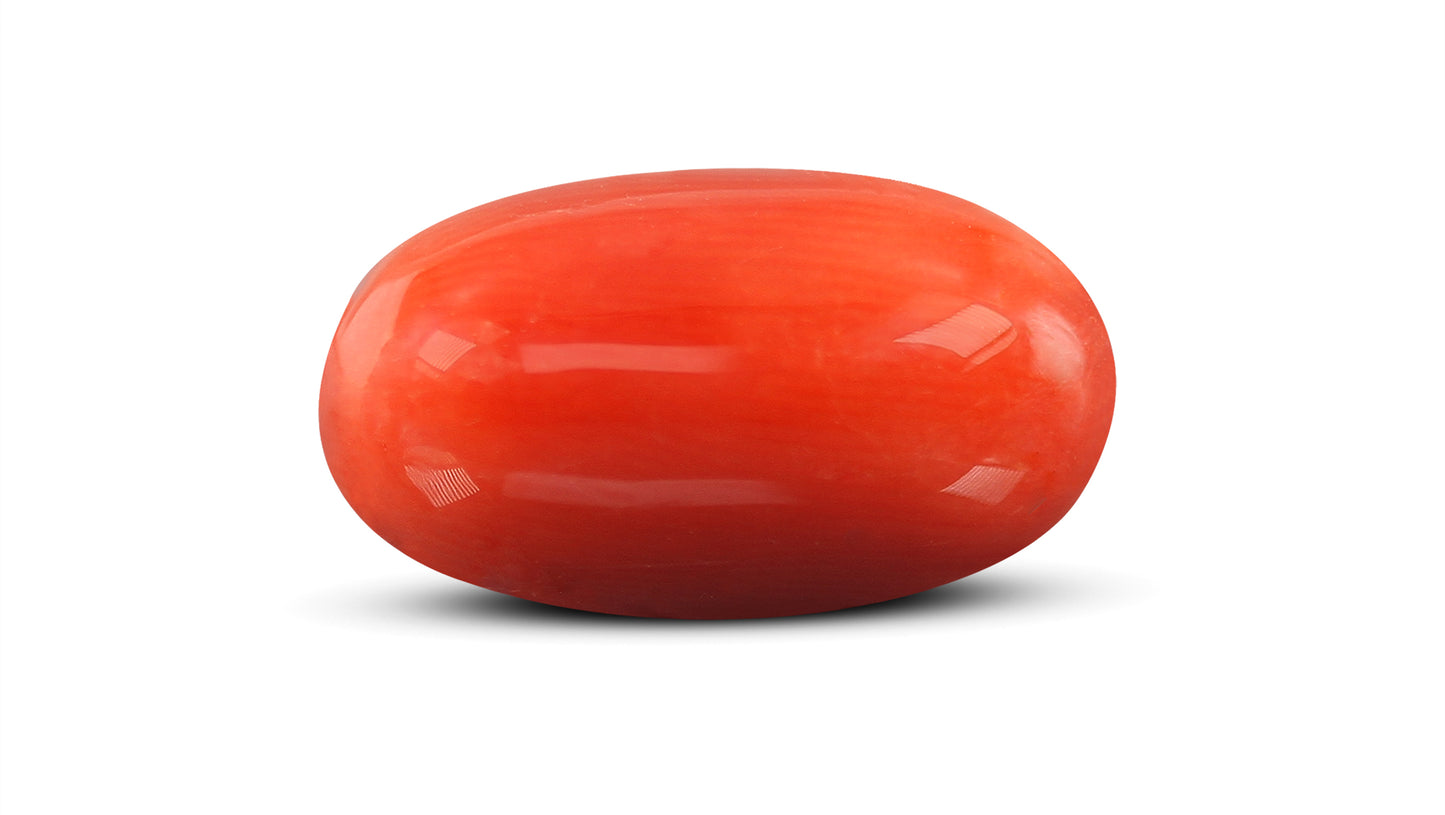 Natural Italian Red Coral (Moonga) 9.32 Carats