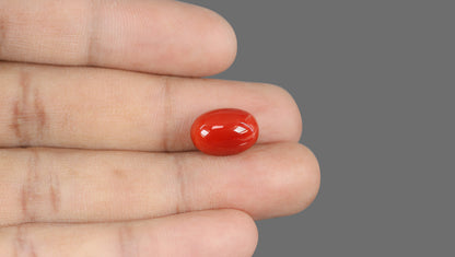 Natural Italian Red Coral (Moonga) 9.50 Carats