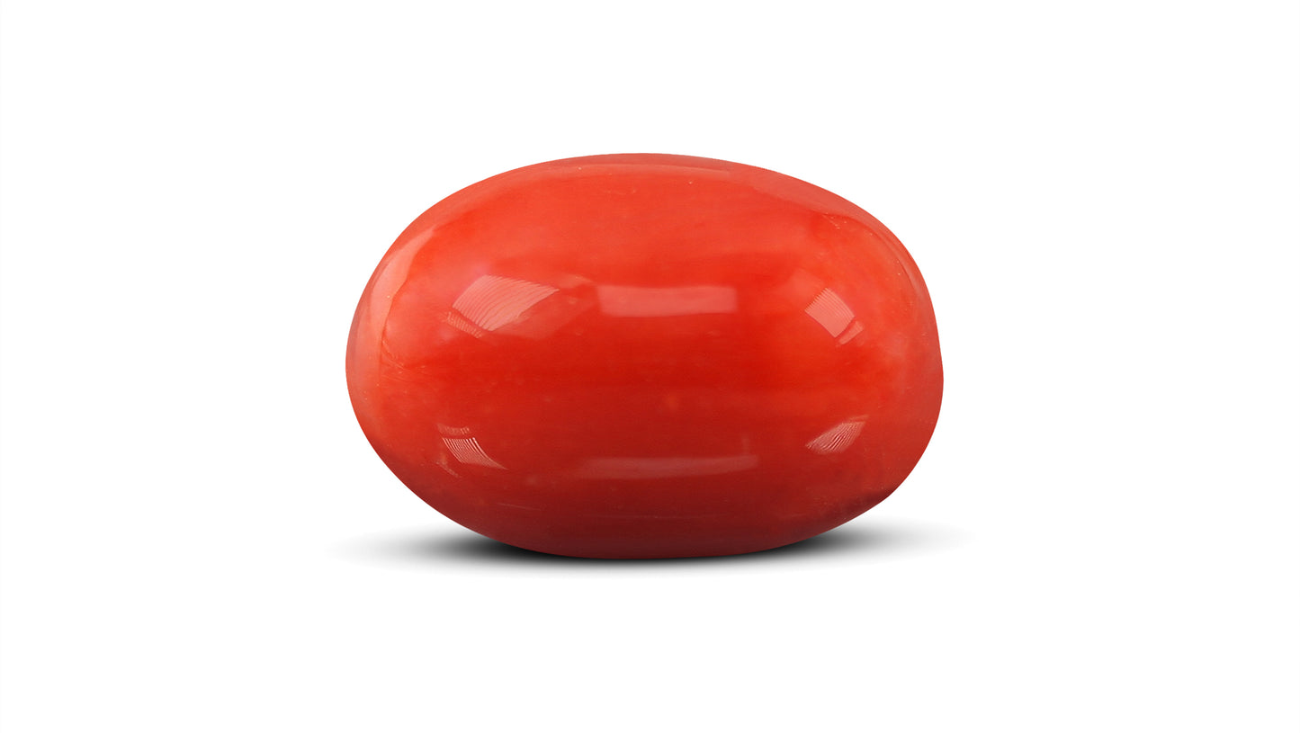 Natural Italian Red Coral (Moonga) 9.50 Carats