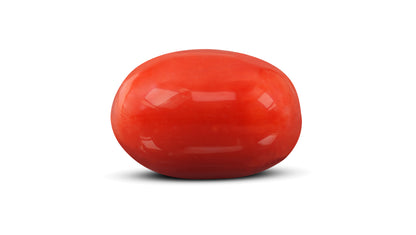 Natural Italian Red Coral (Moonga) 9.50 Carats