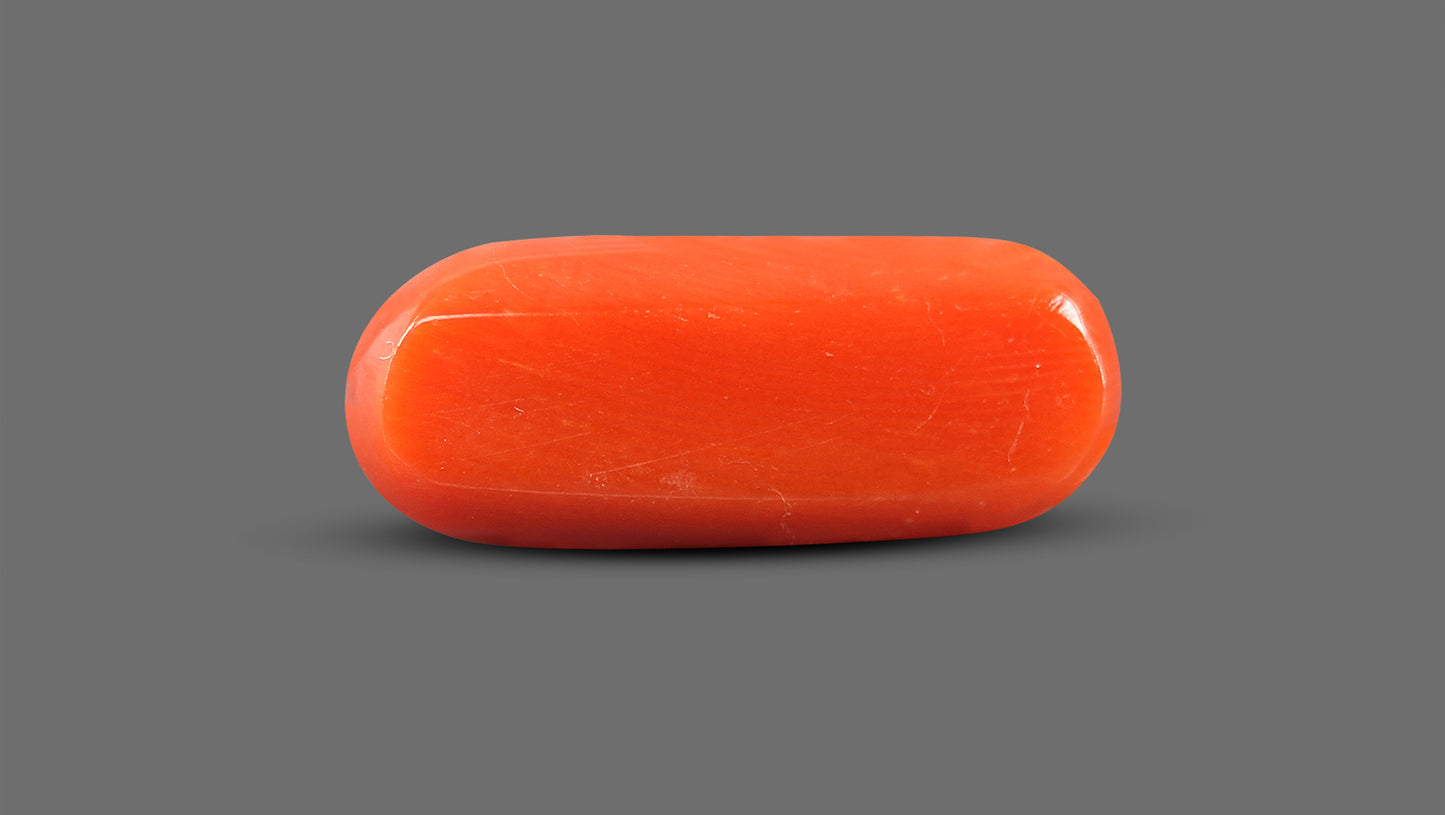 Natural Italian Red Coral (Moonga) 9.12 Carats