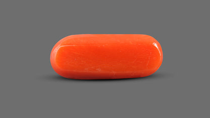 Natural Italian Red Coral (Moonga) 9.12 Carats