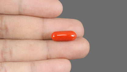 Natural Italian Red Coral (Moonga) 9.12 Carats