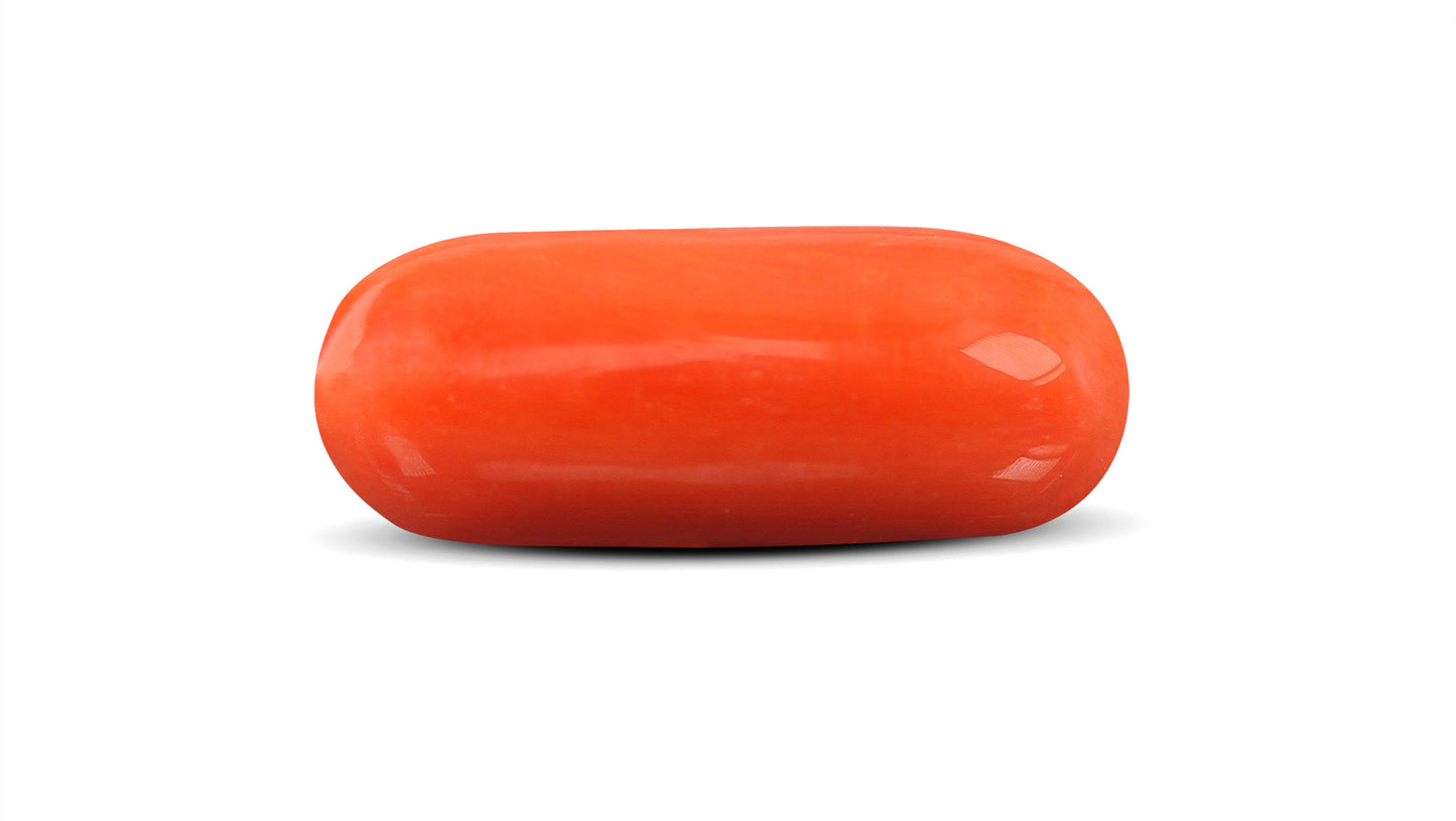 Natural Italian Red Coral (Moonga) 9.12 Carats