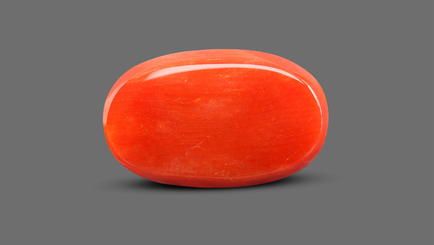 Natural Italian Red Coral (Moonga) 9.16 Carats