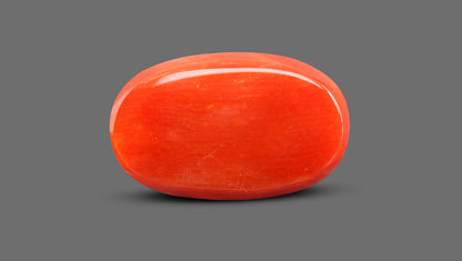 Natural Italian Red Coral (Moonga) 9.16 Carats