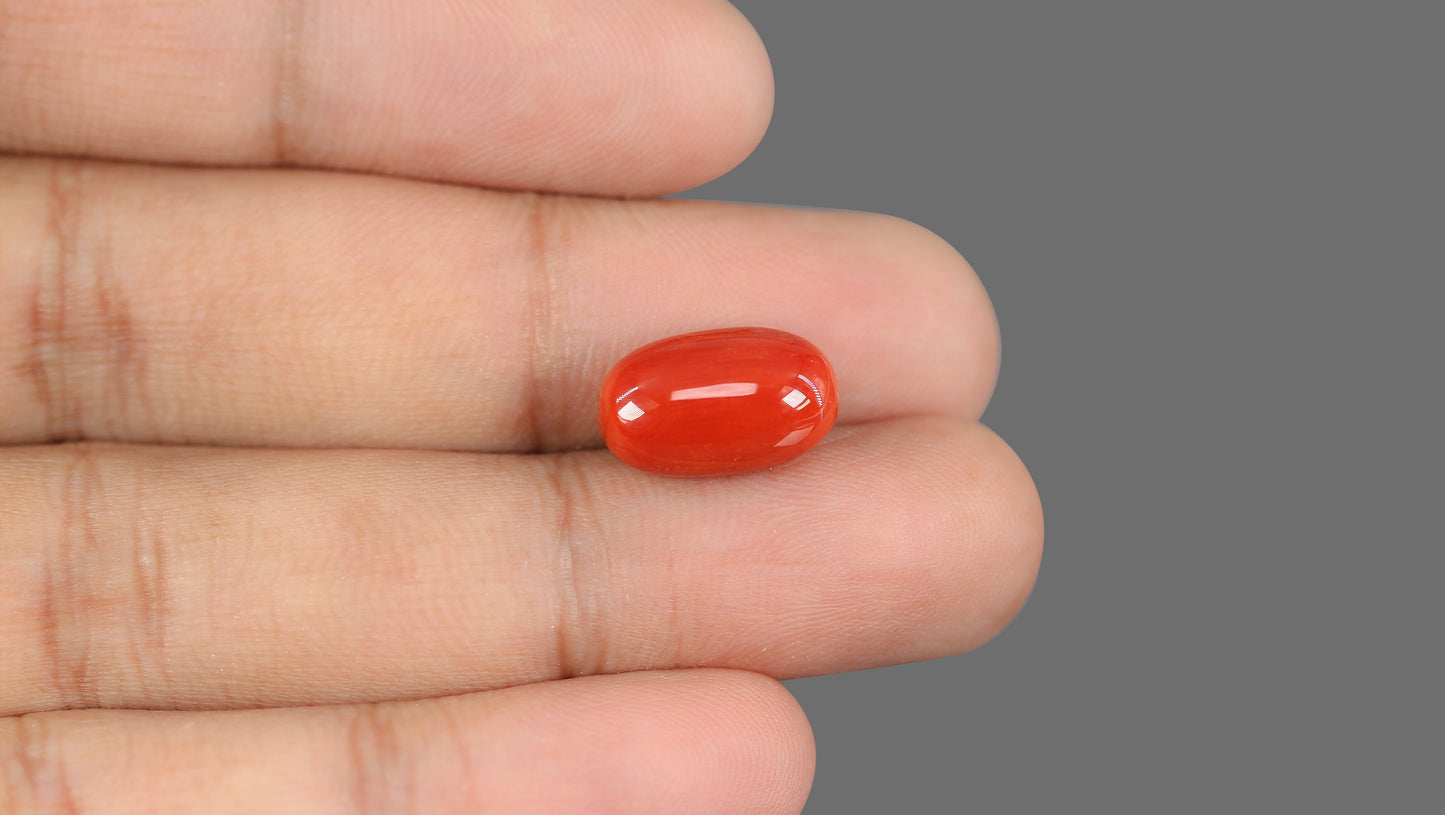 Natural Italian Red Coral (Moonga) 9.16 Carats