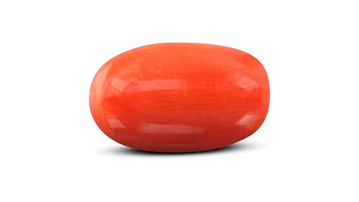 Natural Italian Red Coral (Moonga) 9.16 Carats
