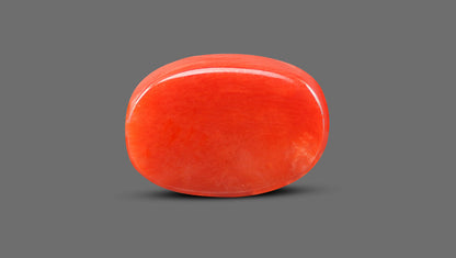 Natural Italian Red Coral (Moonga) 8.95 Carats