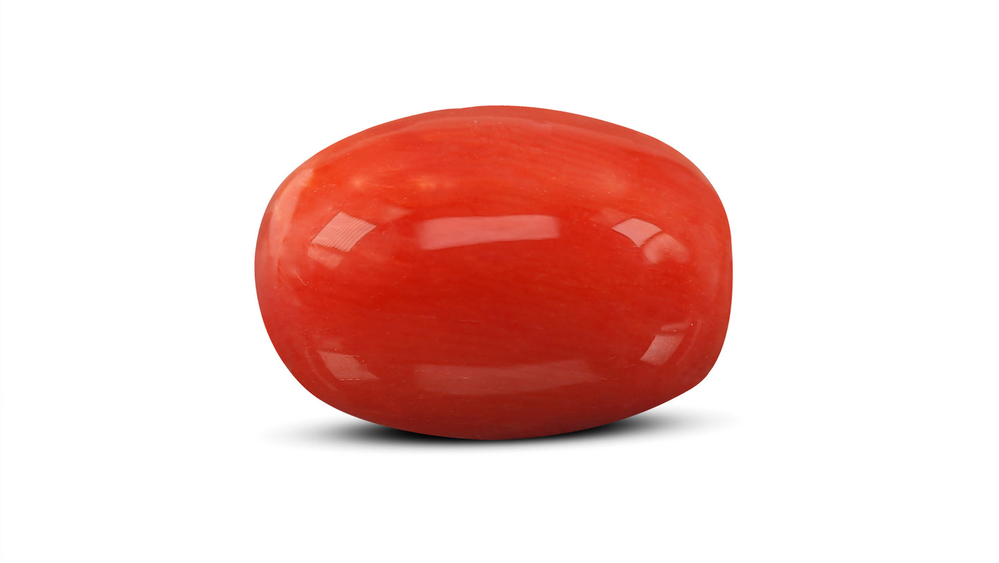 Natural Italian Red Coral (Moonga) 8.95 Carats