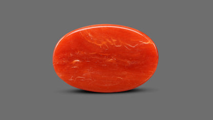 Natural Italian Red Coral (Moonga) 6.56 Carats