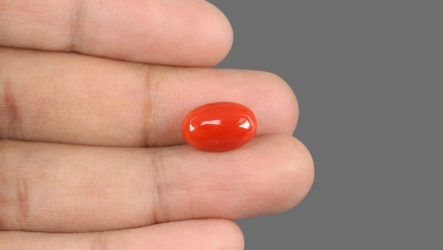 Natural Italian Red Coral (Moonga) 6.56 Carats