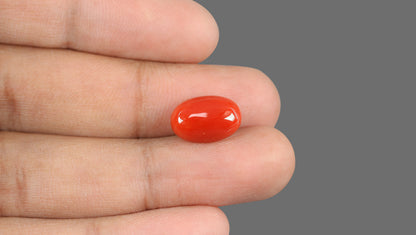 Natural Italian Red Coral (Moonga) 6.56 Carats