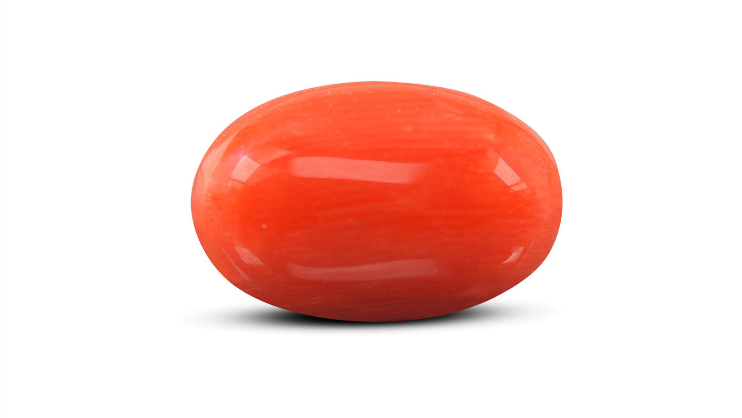 Natural Italian Red Coral (Moonga) 6.56 Carats