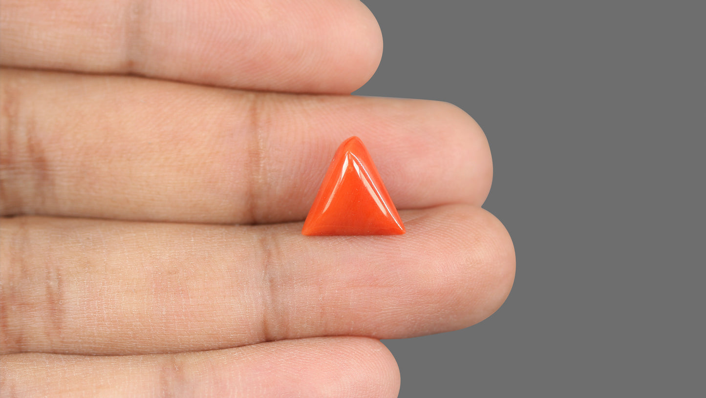 Natural Italian Red Coral (Moonga) 5.85 Carats
