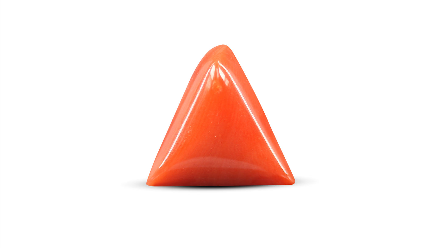 Natural Italian Red Coral (Moonga) 5.85 Carats