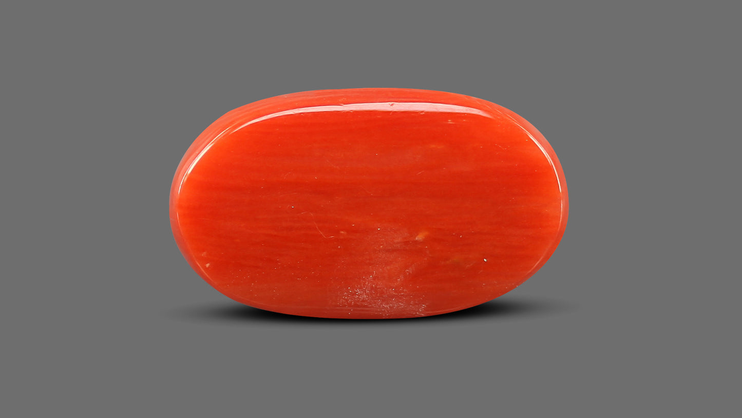 Natural Italian Red Coral (Moonga) 8.24 Carats