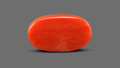 Natural Italian Red Coral (Moonga) 8.24 Carats