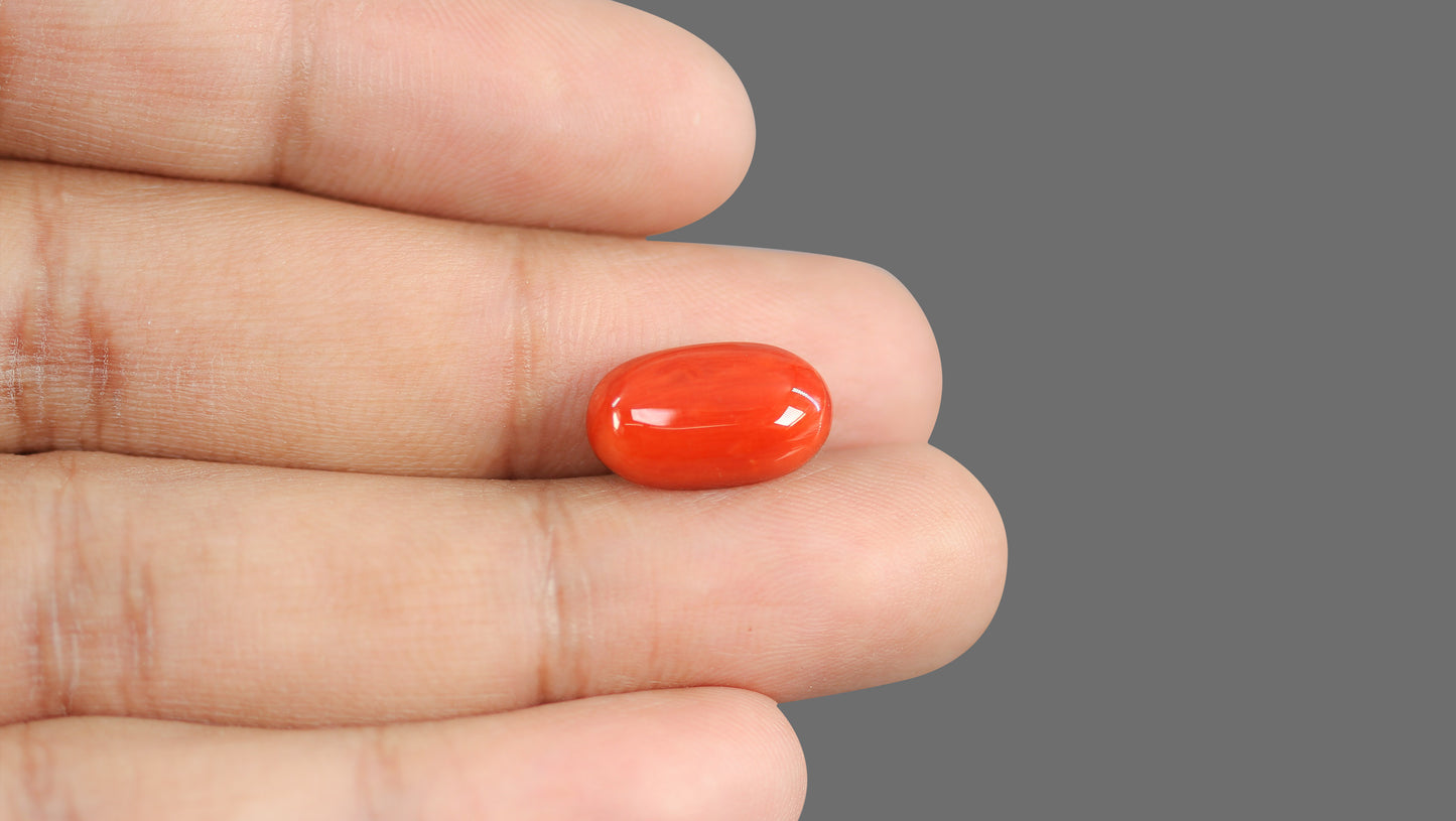 Natural Italian Red Coral (Moonga) 8.24 Carats