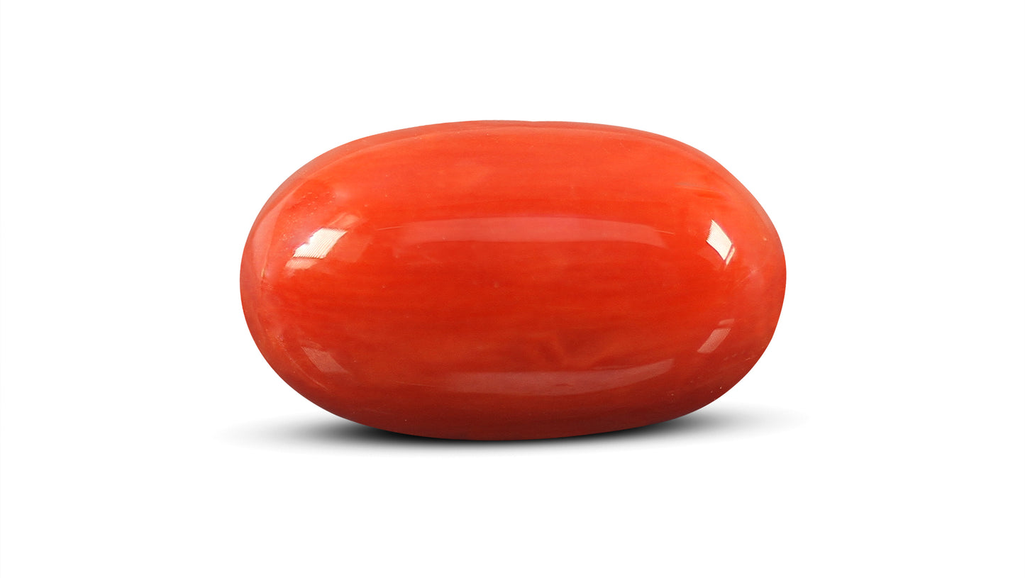Natural Italian Red Coral (Moonga) 8.24 Carats