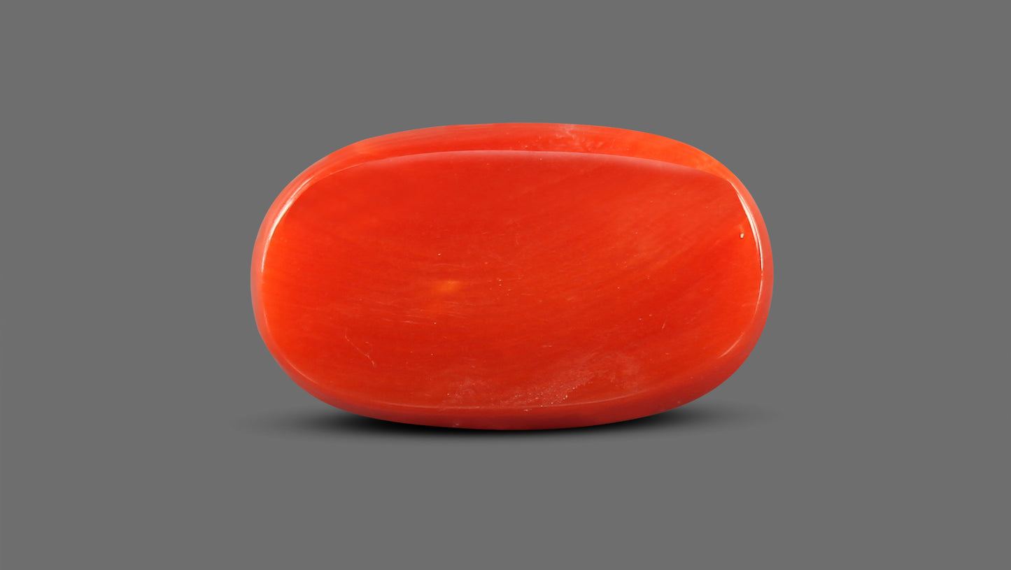 Natural Italian Red Coral (Moonga) 8.46 Carats