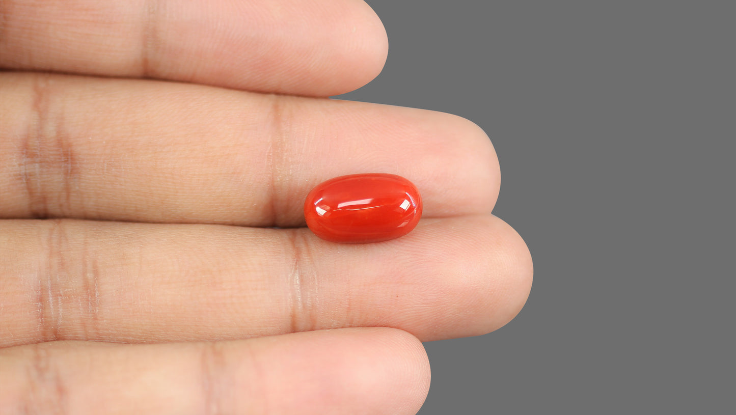 Natural Italian Red Coral (Moonga) 8.46 Carats