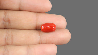 Natural Italian Red Coral (Moonga) 8.46 Carats