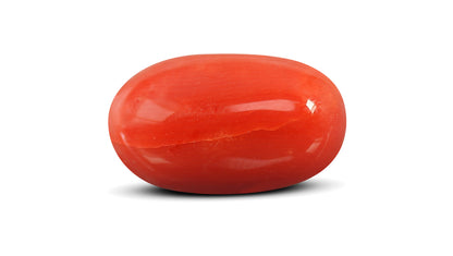Natural Italian Red Coral (Moonga) 8.46 Carats
