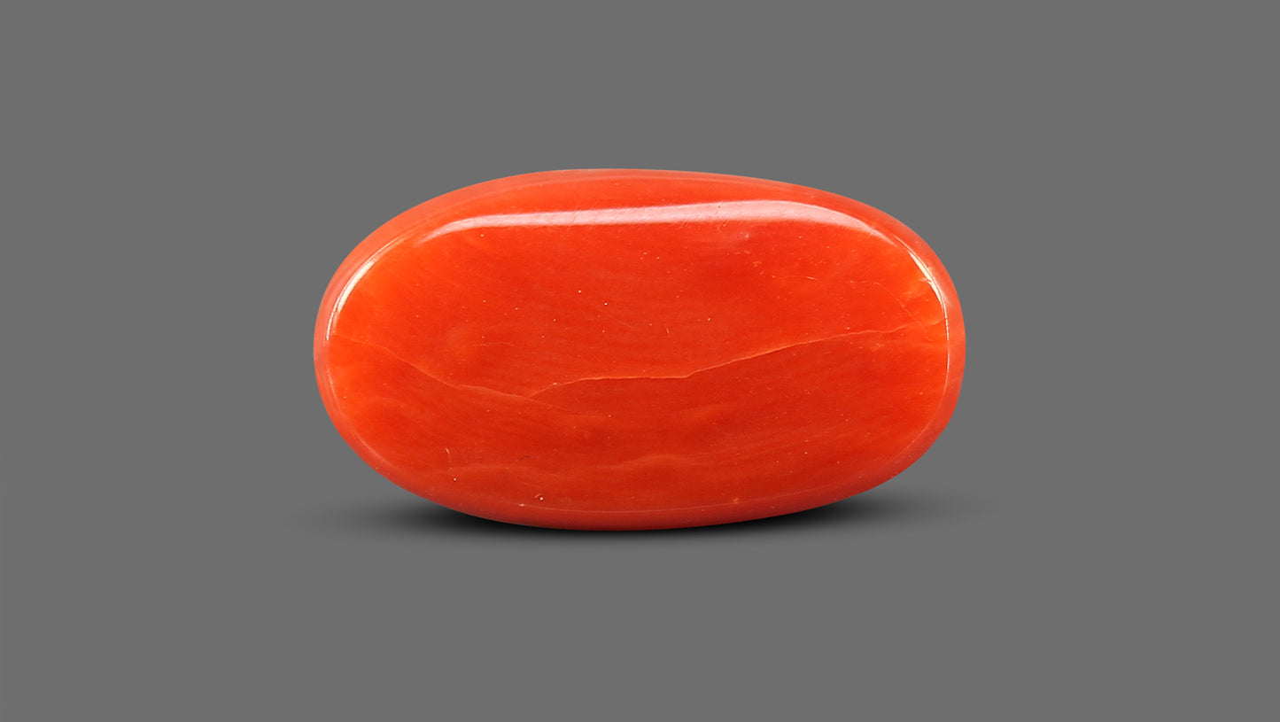 Natural Italian Red Coral (Moonga) 7.51 Carats