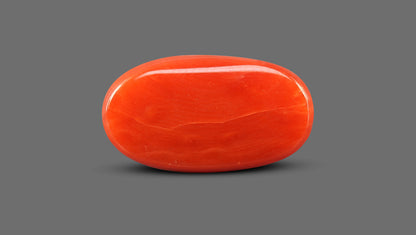 Natural Italian Red Coral (Moonga) 7.51 Carats