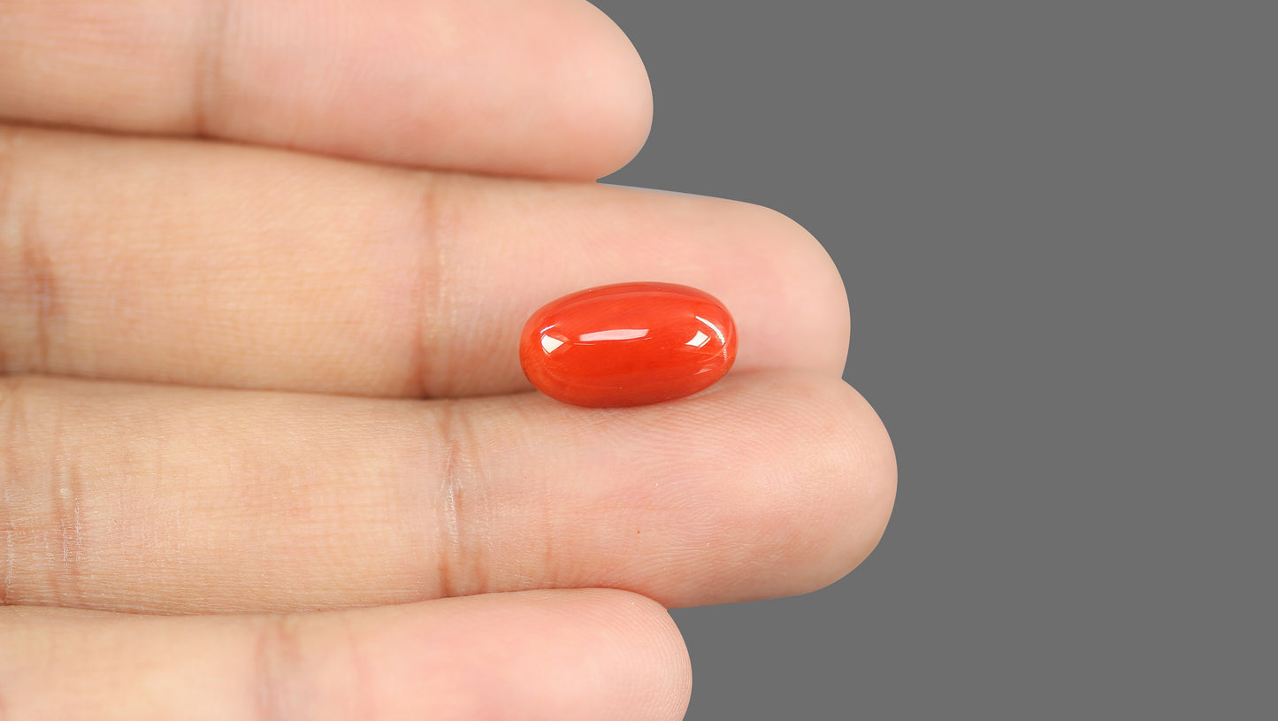Natural Italian Red Coral (Moonga) 7.51 Carats