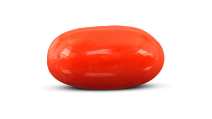Natural Italian Red Coral (Moonga) 7.51 Carats