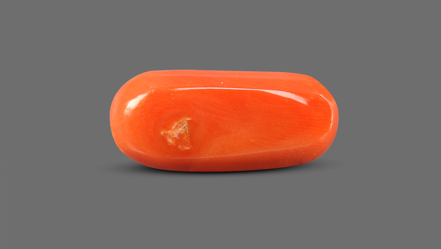Natural Italian Red Coral (Moonga) 11.30 Carats