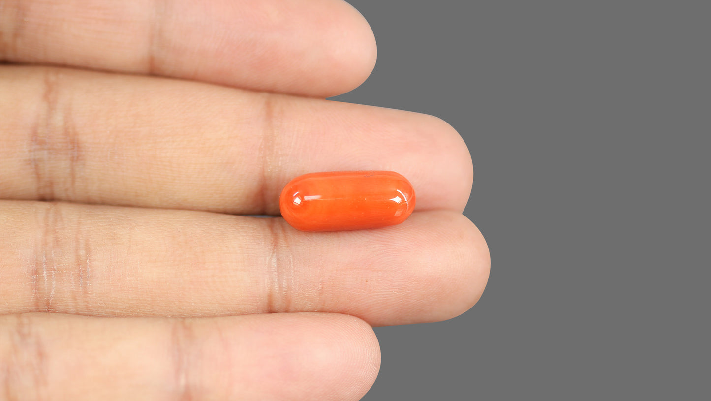 Natural Italian Red Coral (Moonga) 11.30 Carats