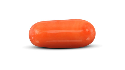 Natural Italian Red Coral (Moonga) 11.30 Carats