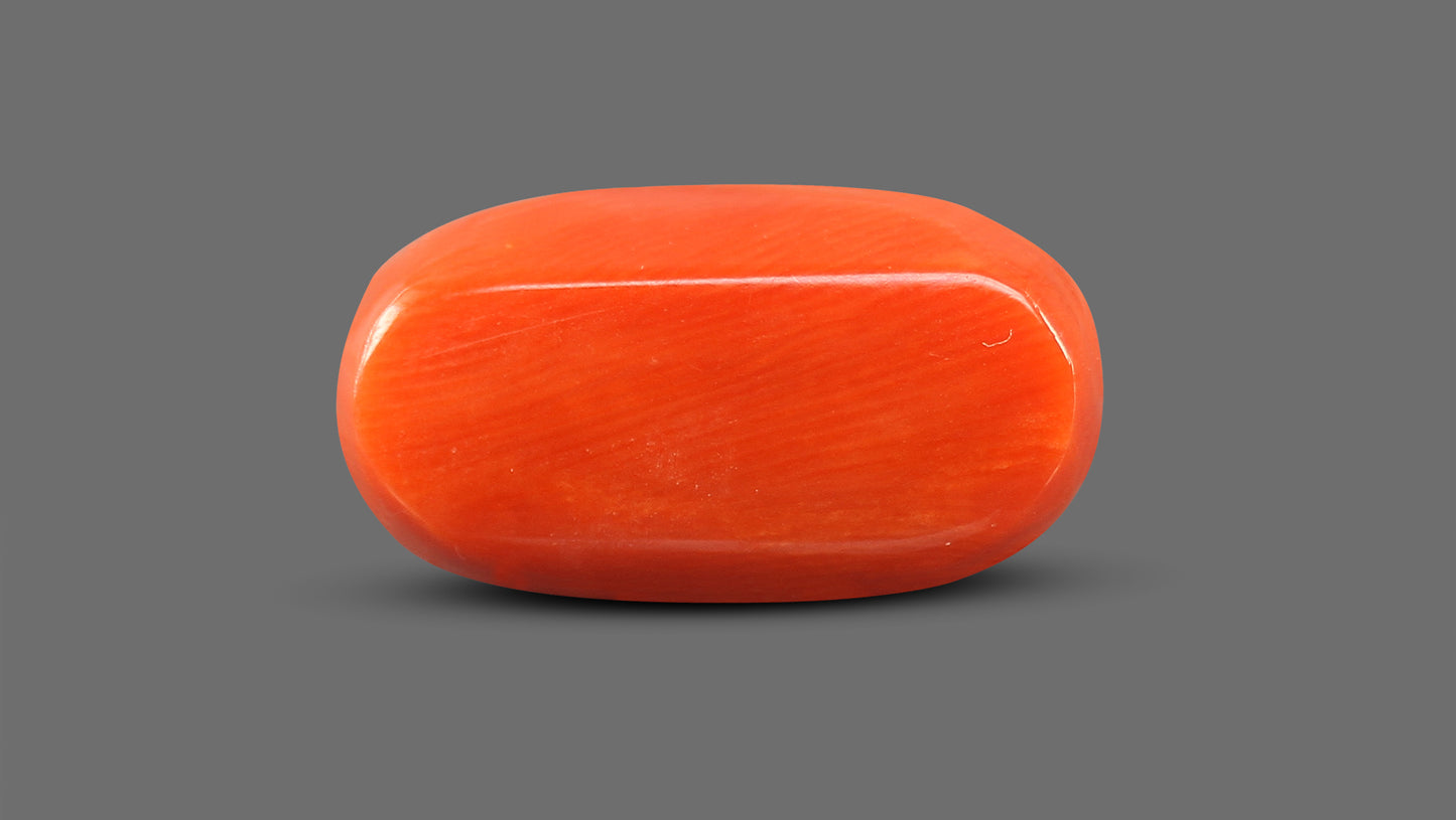 Natural Italian Red Coral (Moonga) 11.85 Carats