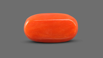 Natural Italian Red Coral (Moonga) 11.85 Carats