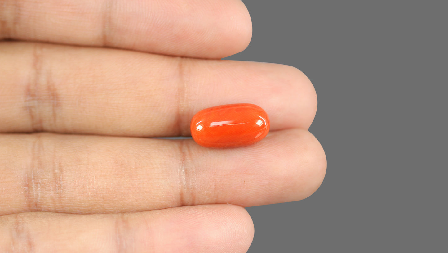 Natural Italian Red Coral (Moonga) 11.85 Carats