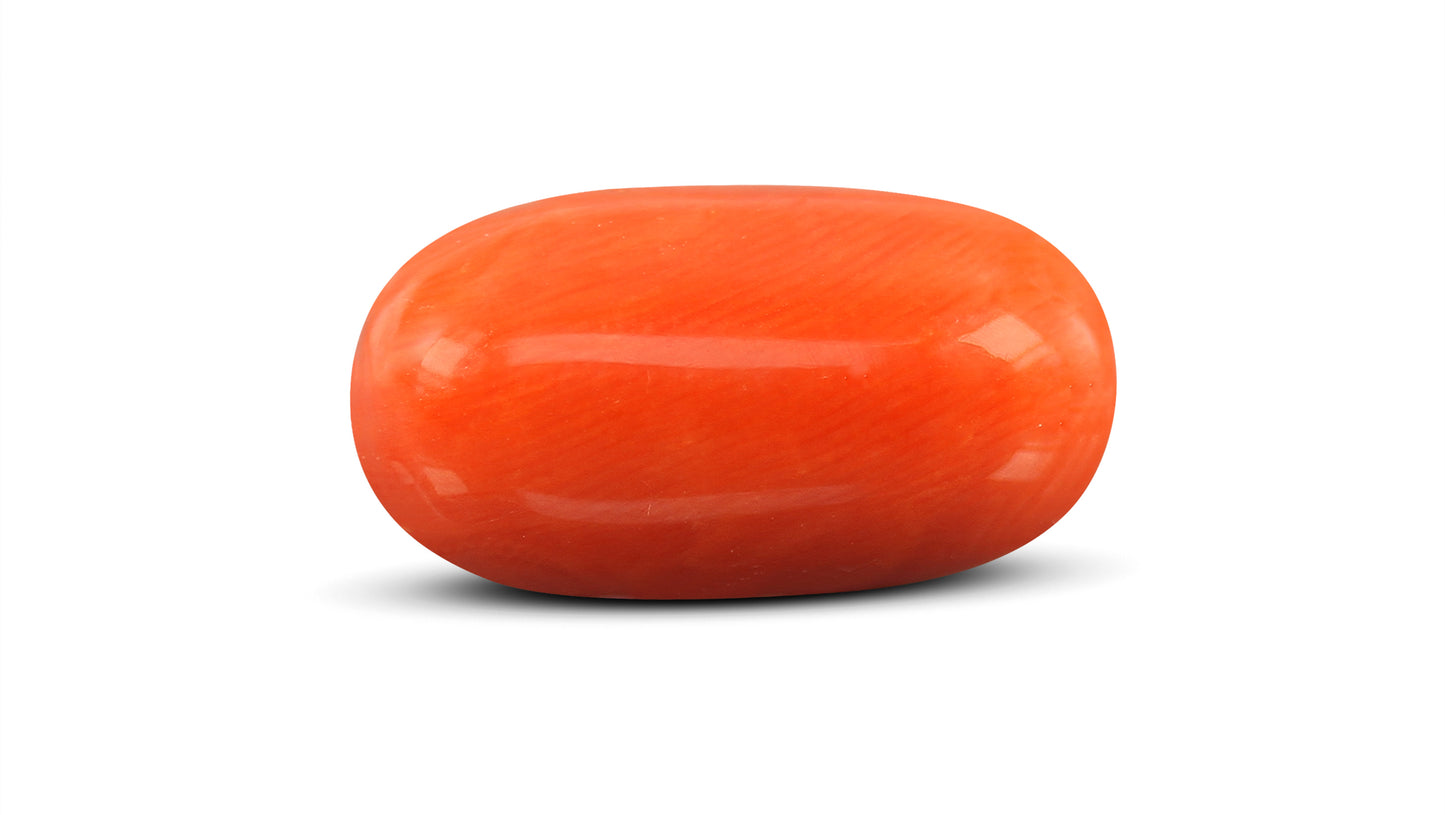 Natural Italian Red Coral (Moonga) 11.85 Carats