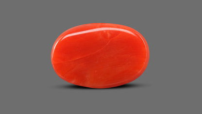 Natural Italian Red Coral (Moonga) 11.70 Carats