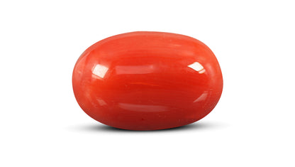 Natural Italian Red Coral (Moonga) 11.70 Carats