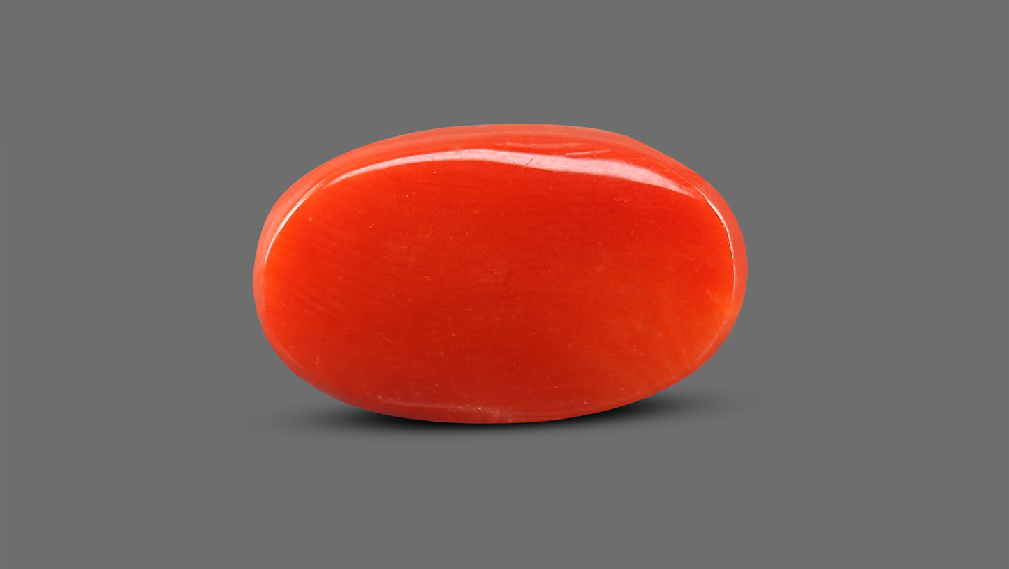 Natural Italian Red Coral (Moonga) 10.93 Carats