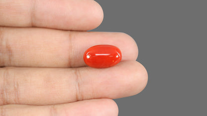 Natural Italian Red Coral (Moonga) 10.93 Carats
