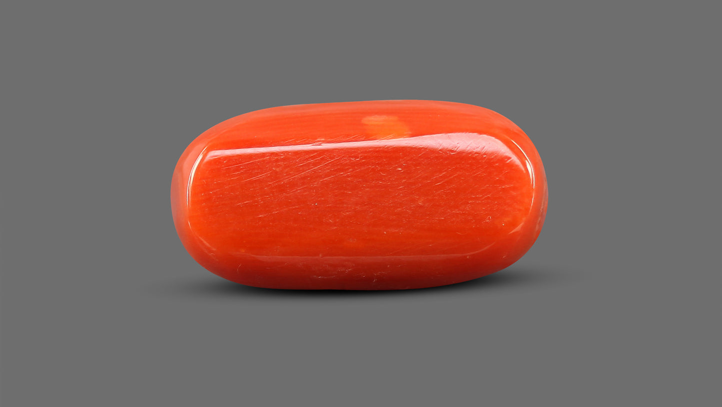 Natural Italian Red Coral (Moonga) 11.38 Carats