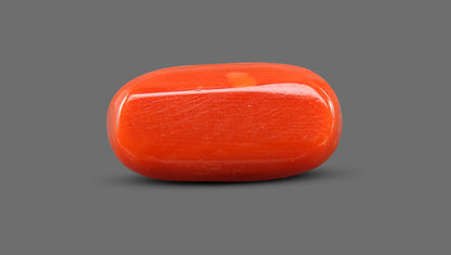 Natural Italian Red Coral (Moonga) 11.38 Carats