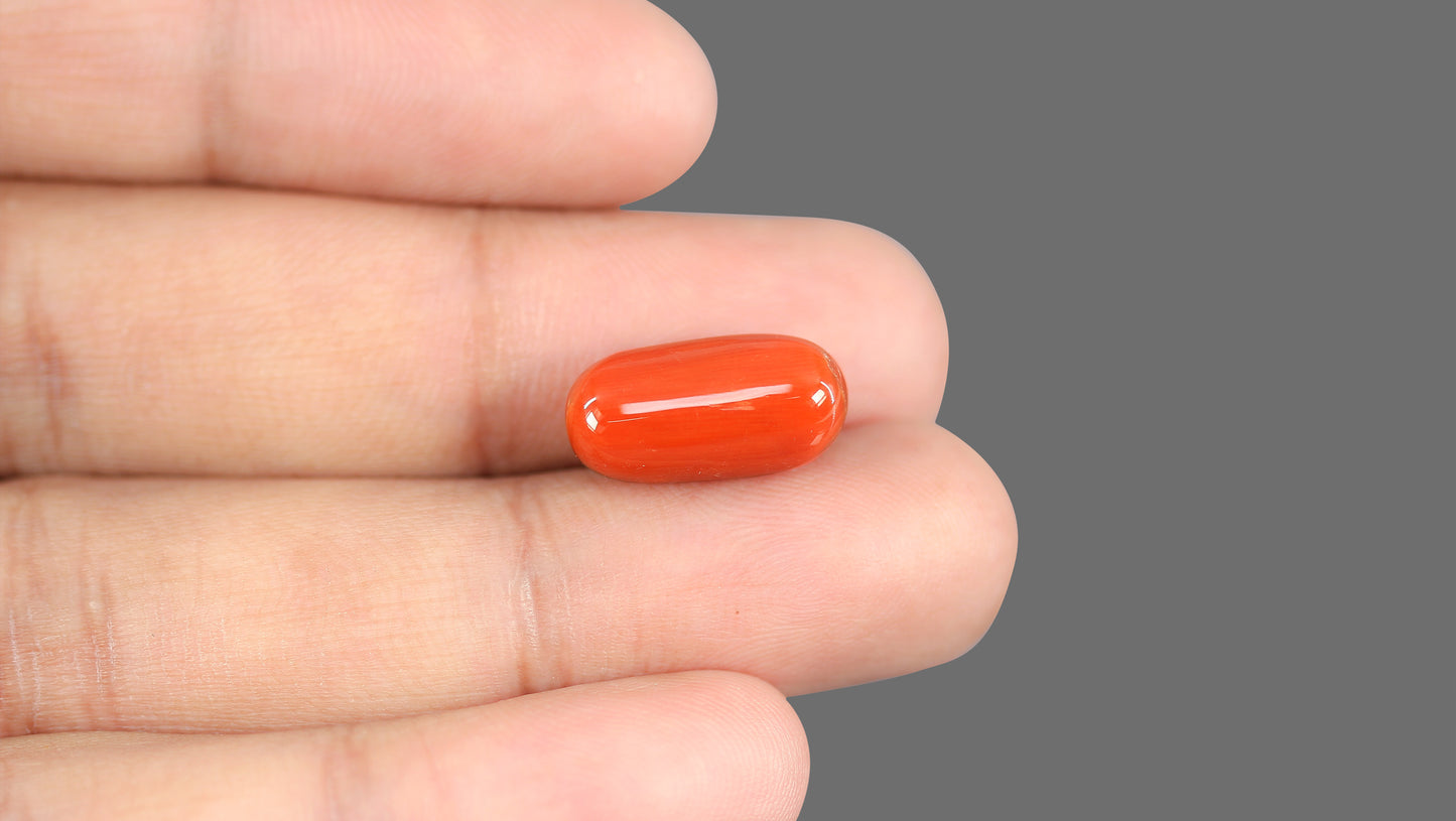 Natural Italian Red Coral (Moonga) 11.38 Carats
