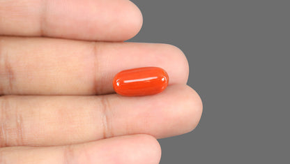 Natural Italian Red Coral (Moonga) 11.38 Carats